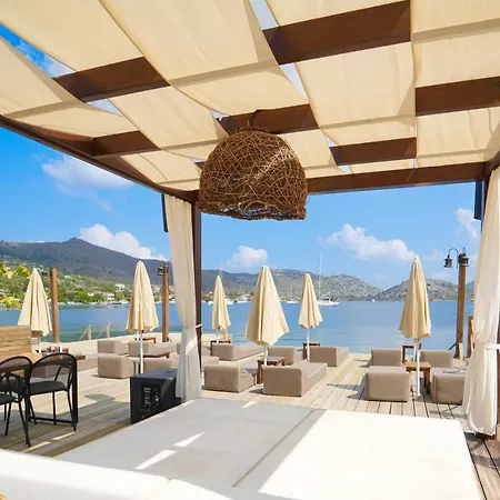 Naxos *